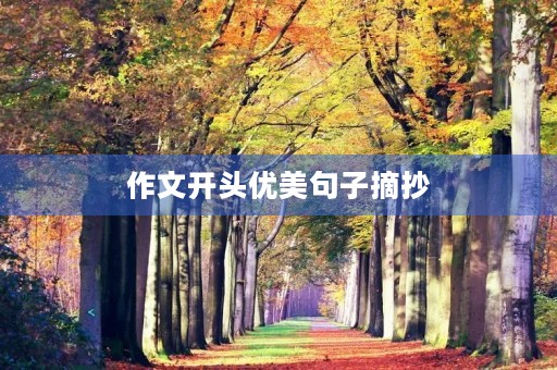作文开头优美句子摘抄 作文开头优美句子摘抄