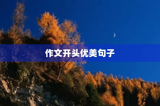 作文开头优美句子 作文开头优美句子