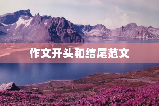 作文开头和结尾范文