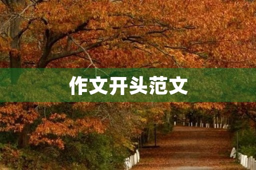 作文开头范文 作文开头范文