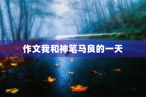 作文我和神笔马良的一天 作文我和神笔马良的一天