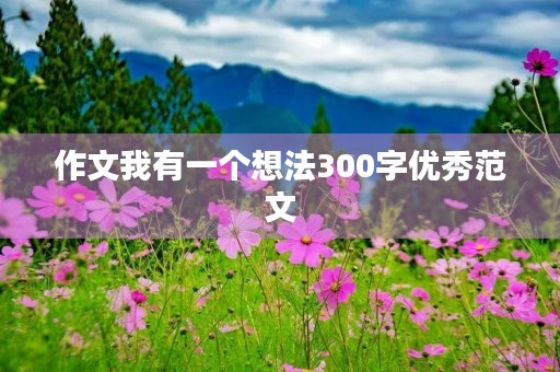 作文我有一个想法300字优秀范文