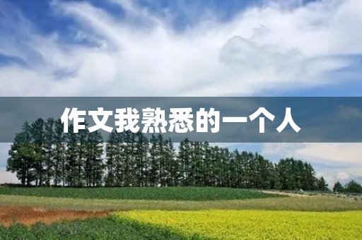 作文我熟悉的一个人