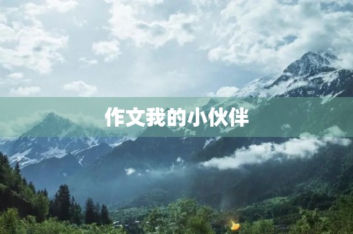 作文我的小伙伴