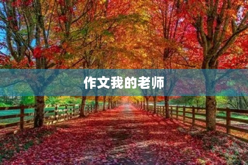作文我的老师 作文我的老师