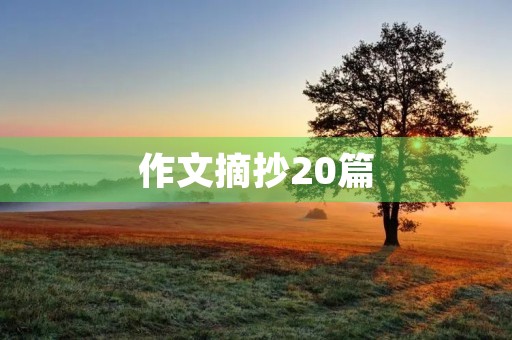 作文摘抄20篇 作文摘抄20篇