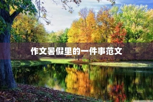 作文暑假里的一件事范文 作文暑假里的一件事范文