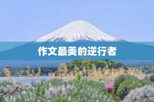 作文最美的逆行者 作文最美的逆行者