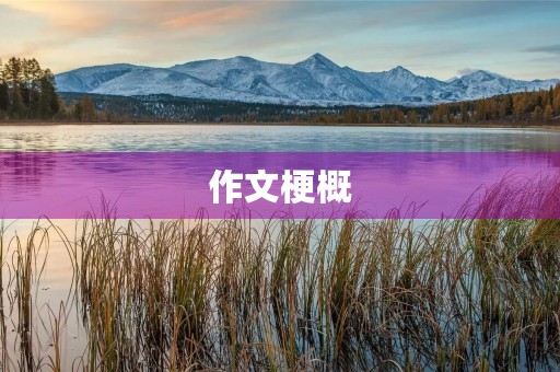 作文梗概 作文梗概