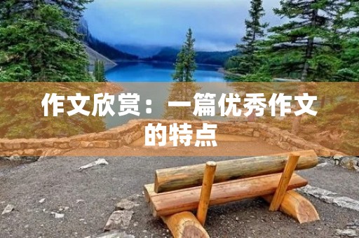 作文欣赏：一篇优秀作文的特点