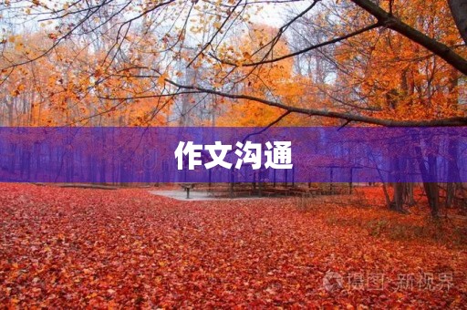 作文沟通
