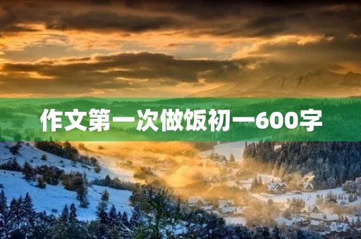 作文第一次做饭初一600字