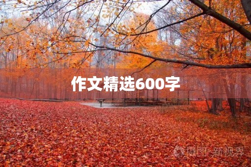 作文精选600字 作文精选600字