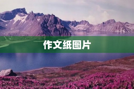 作文纸图片