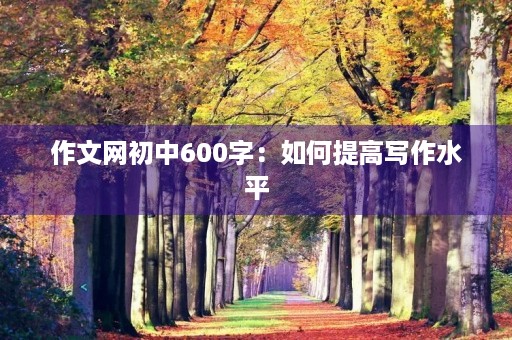 作文网初中600字:如何提高写作水平 作文网初中600字:如何提高写作水平