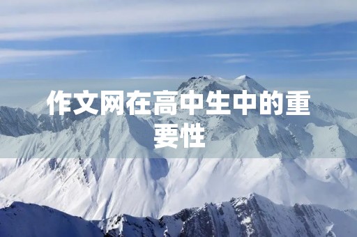 作文网在高中生中的重要性