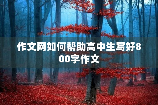 作文网如何帮助高中生写好800字作文