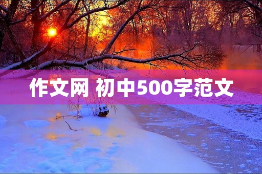 作文网 初中500字范文