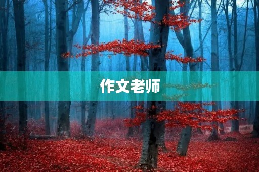 作文老师 作文老师