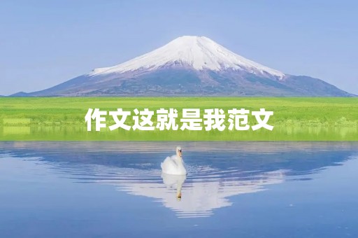 作文这就是我范文
