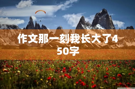 作文那一刻我长大了450字