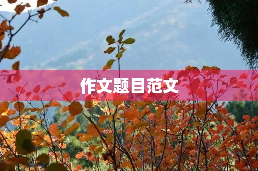 作文题目范文 作文题目范文