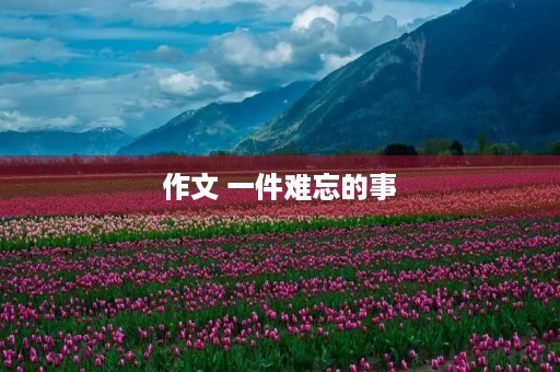 作文 一件难忘的事