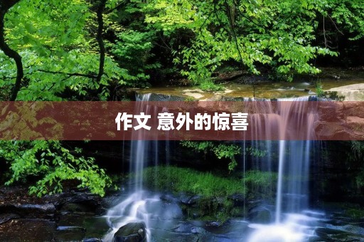 作文 意外的惊喜