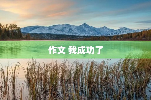 作文 我成功了 作文 我成功了