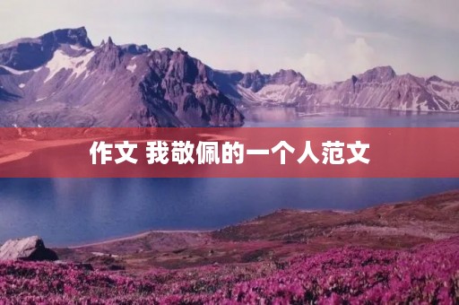作文 我敬佩的一个人范文 作文 我敬佩的一个人范文