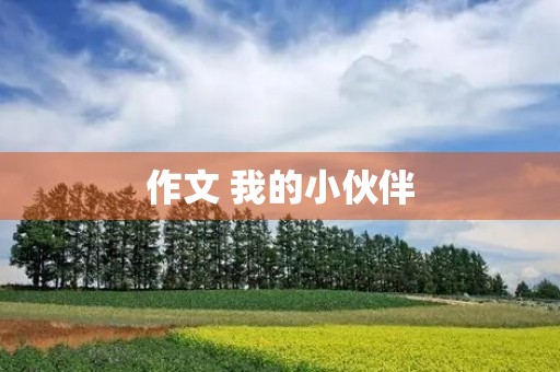 作文 我的小伙伴 作文 我的小伙伴