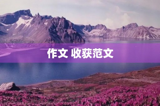作文 收获范文 作文 收获范文