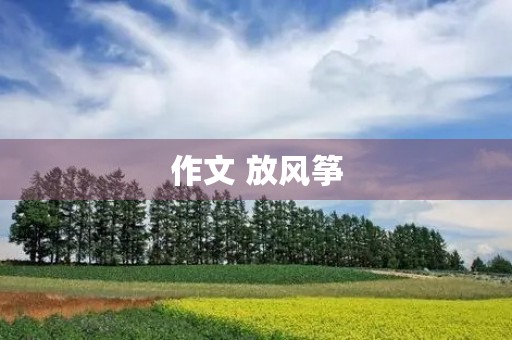 作文 放风筝