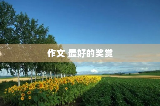 作文 最好的奖赏 作文 最好的奖赏