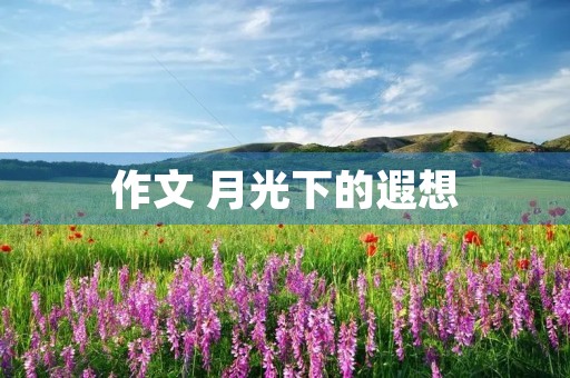 作文 月光下的遐想