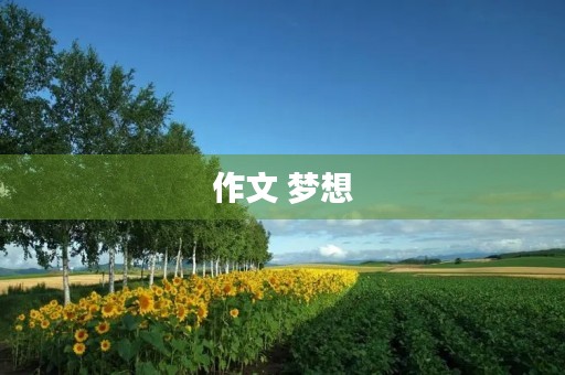 作文 梦想