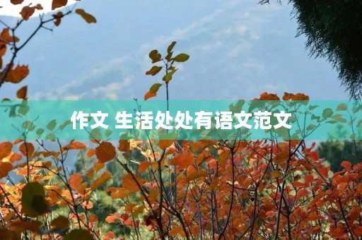 作文 生活处处有语文范文