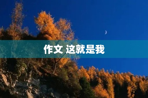 作文 这就是我