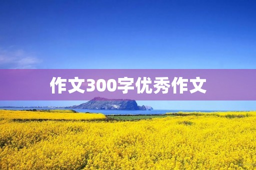 作文300字优秀作文 作文300字优秀作文