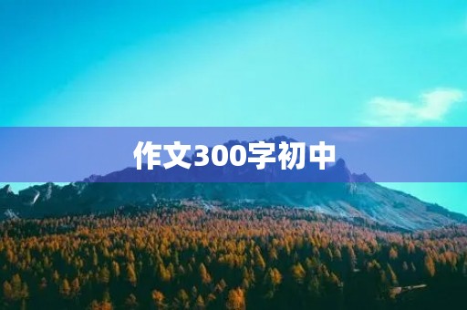 作文300字初中 作文300字初中