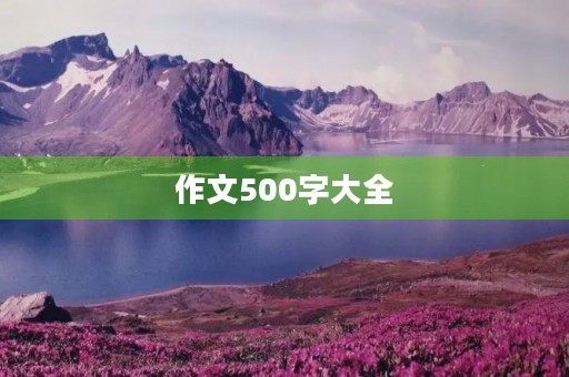 作文500字大全