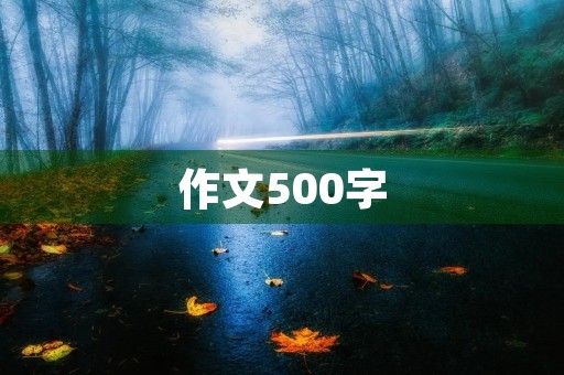 作文500字