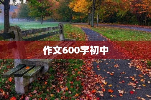作文600字初中 作文600字初中