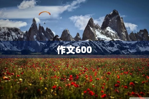 作文600 作文600
