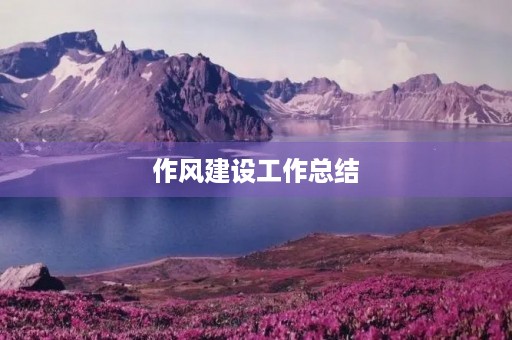 作风建设工作总结