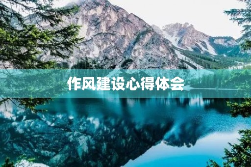 作风建设心得体会