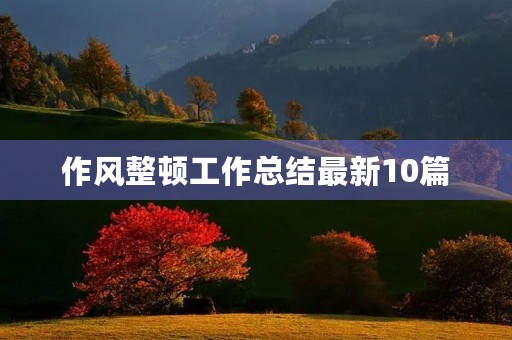 作风整顿工作总结最新10篇