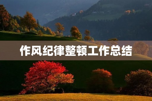 作风纪律整顿工作总结