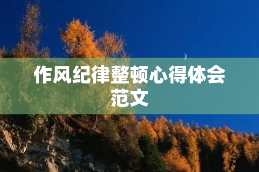 作风纪律整顿心得体会范文