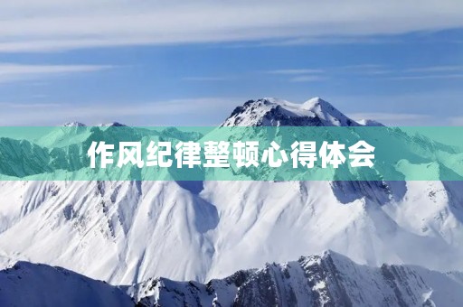作风纪律整顿心得体会 作风纪律整顿心得体会